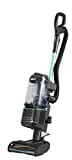 Shark Corded Upright Vacuum Cleaner 1.1L with Anti Hair Wrap Technology, LED Headlights, Lift-Away, Anti-Allergen, 8m Cord, 750W, 2 Attachments,Turquoise, NZ690UK