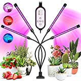 Garpsen Grow Lights for Indoor Plants, 80 LEDs Full Spectrum Led Plant Grow Light, 10 Dimming Level & 4 Heads Grow Lamp with Timer 360°Adjustable Gooseneck for Seedlings and Succulents